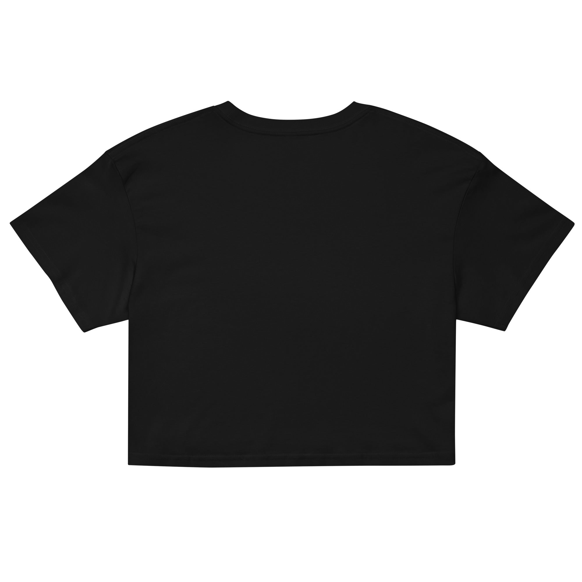 "Prove Them Wrong" Women’s Crop Top Secondary image